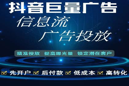 某电商平台的SEM策略与效果展示